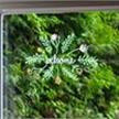Blatt & Blüte Kreide-Glasmarker 3er Set | Bild 3