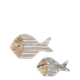 Fisch Set von 2