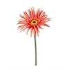 Gerbera lachs 66cm