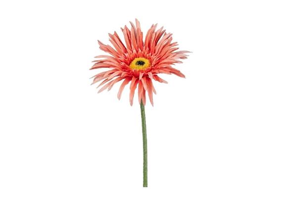 Gerbera lachs 66cm