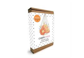 Geschenkbox Carpe Diem -Ranunkel Blumenzwiebel-Mix