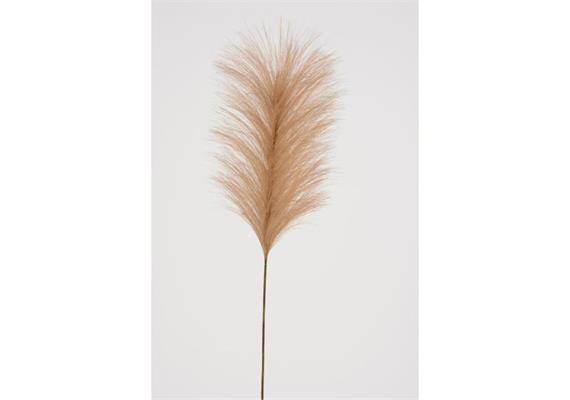 Gras Halm braun 67cm