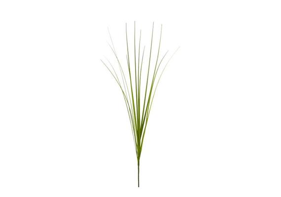 Isolepsis Gras grün mix 72cm