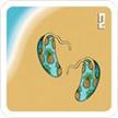 Lucky Beach | Bild 3