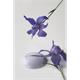 Paint French Lavender 700ml