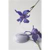 Paint French Lavender 700ml