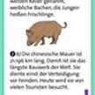 Pocket Quiz junior Allgemeinwissen | Bild 3