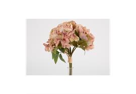 Strauss Peonia dry rosa 30cm